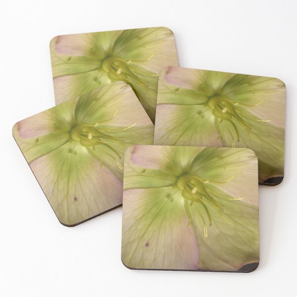 Item preview, Hellebore 4 designed and sold by craigto.