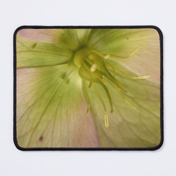 Item preview, Hellebore 4 designed and sold by craigto.