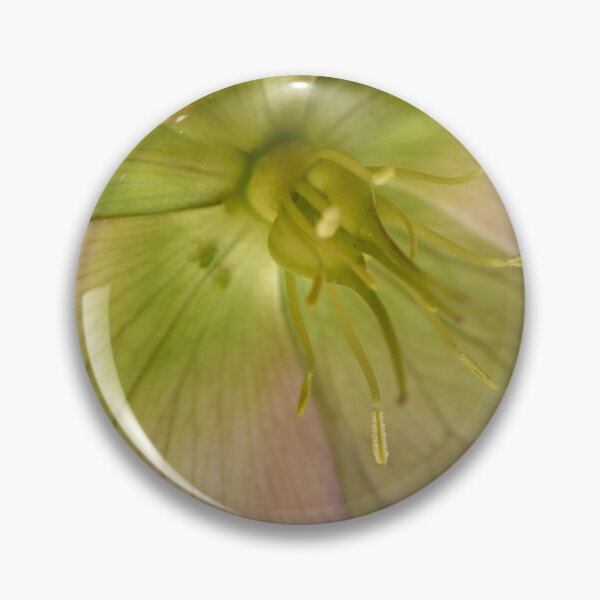 Item preview, Hellebore 4 designed and sold by craigto.