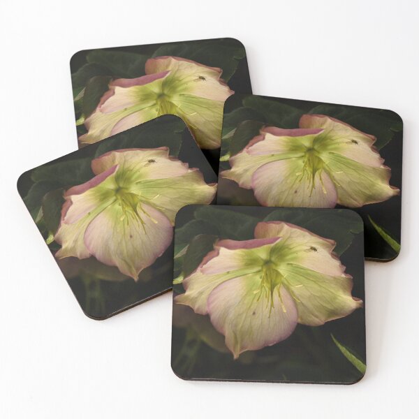 Item preview, Hellebore 5 designed and sold by craigto.