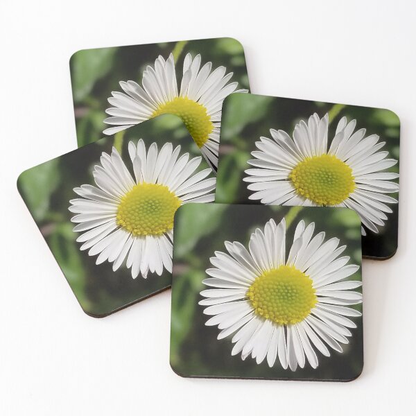 Item preview, Daisy designed and sold by iAmAnAstronaut-.