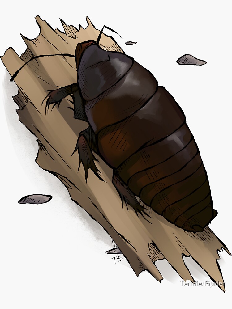Bugs And Hisses! 4" Sticker For Sale By Smiles74 | Redbubble