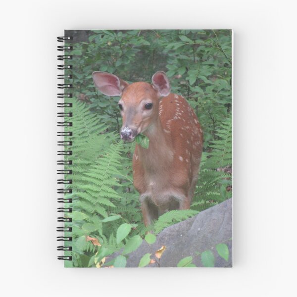 Artikelvorschau, Reh im Wald entworfen und verkauft von NatureSplendor.