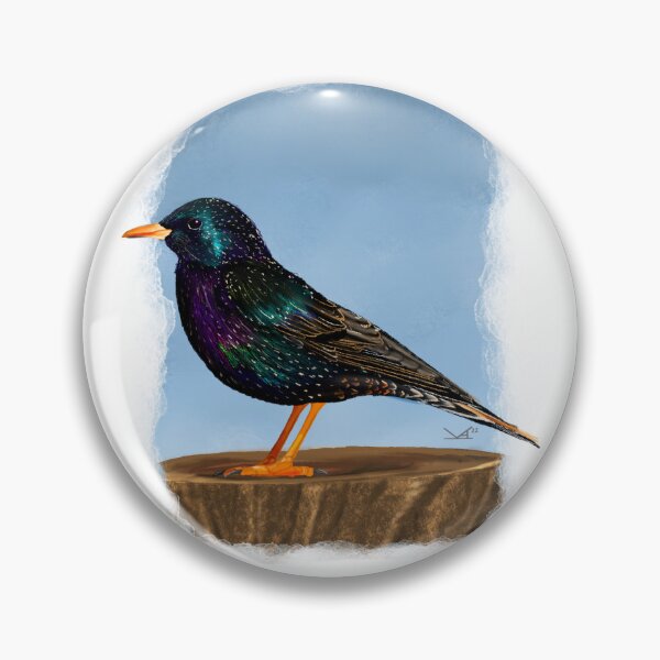 Item preview, European Starling  designed and sold by Fernheart Designs.