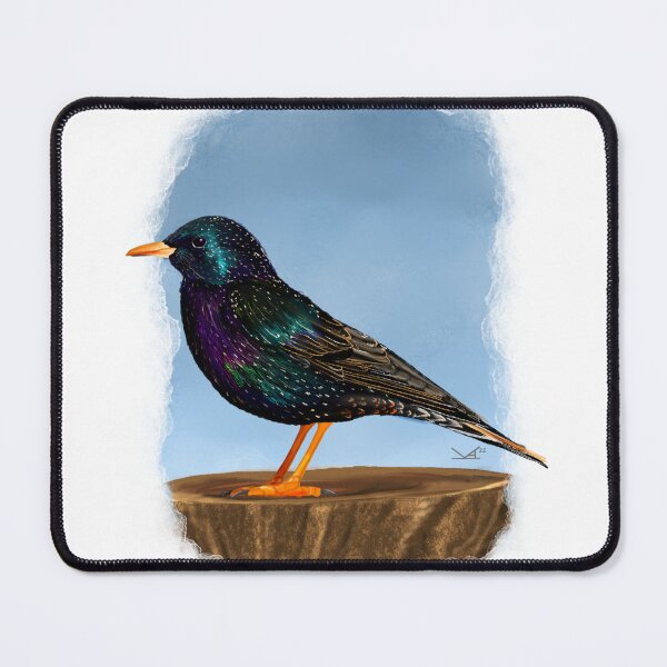 Item preview, European Starling  designed and sold by Fernheart Designs.