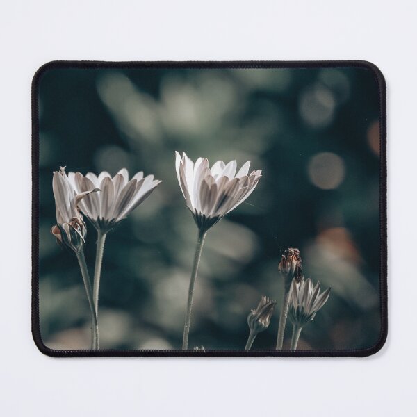 Item preview, Wake Me Up designed and sold by jkvphotography.