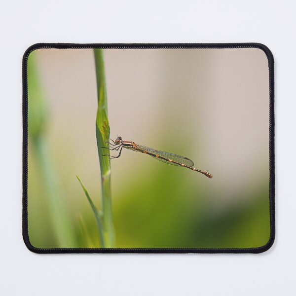 Item preview, Summer Dragonfly Delightful designed and sold by Joy Watson - Natural Light Photography .