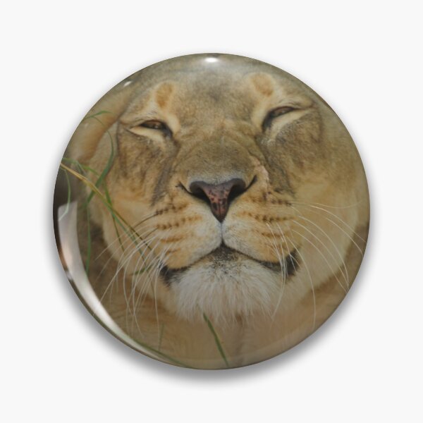 Item preview, sleepy lion designed and sold by rogersmith.