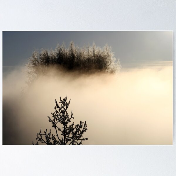 Item preview, 16.2.2015: Trees in the Fog designed and sold by Petri Volanen.