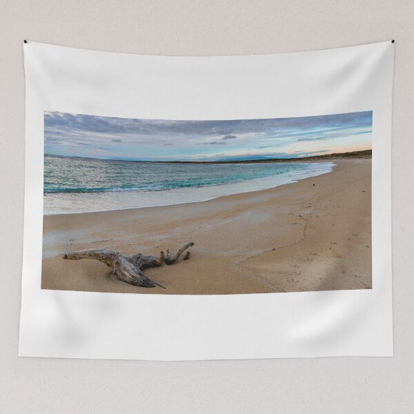 Item preview, Maimoni Driftwood designed and sold by DiFigianoPhoto.