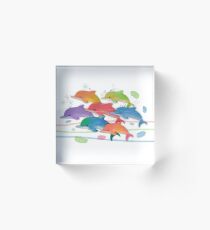 A Rainbow of Dolphins Acrylic Block