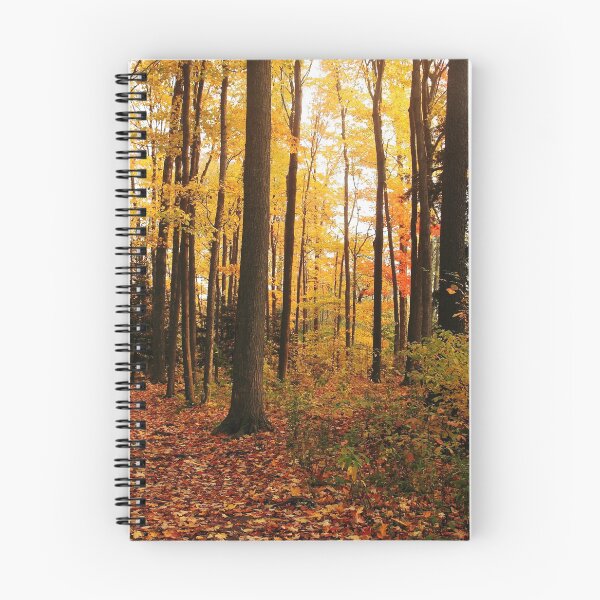 Item preview, Autumn Woods designed and sold by Debbie Oppermann.