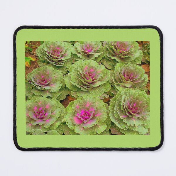 Item preview, I love Cabbages designed and sold by Beatrice Roberts.