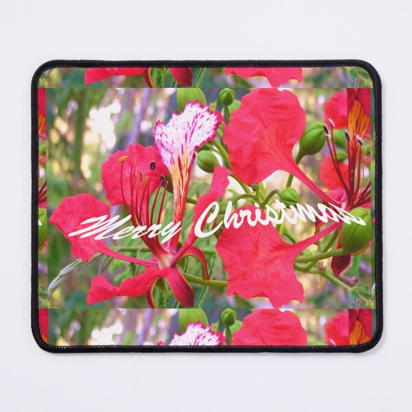 Item preview, Poinciana Merry Christmas Card designed and sold by ginnymac.