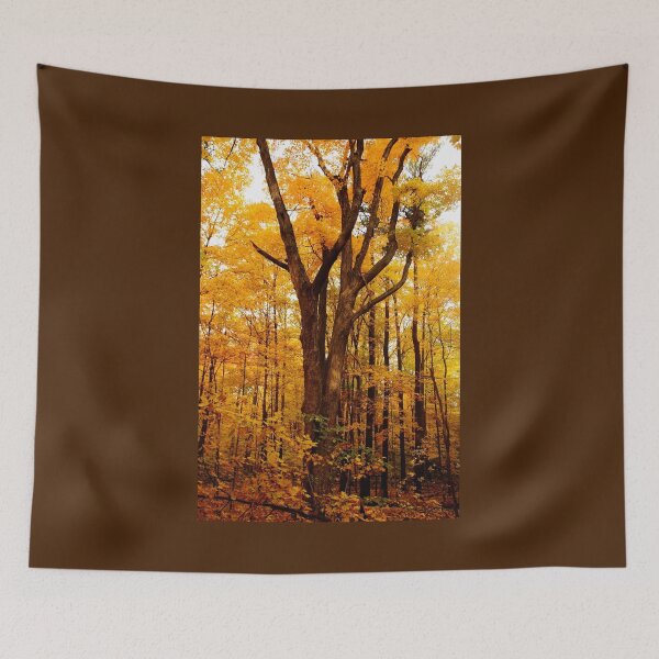 Item preview, A Golden Autumn Day designed and sold by Debbie Oppermann.