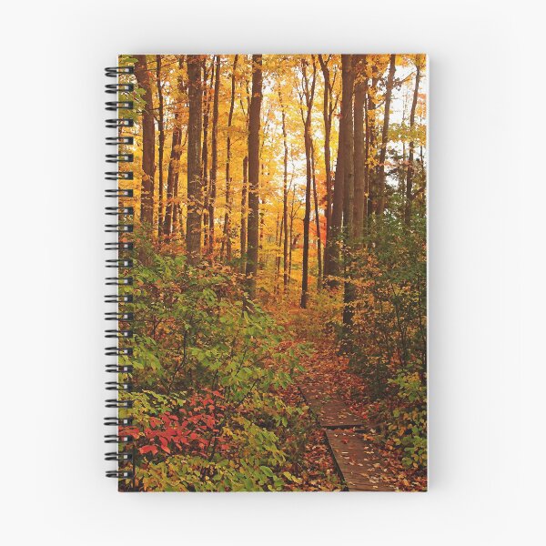 Item preview, Autumn Splendor designed and sold by Debbie Oppermann.