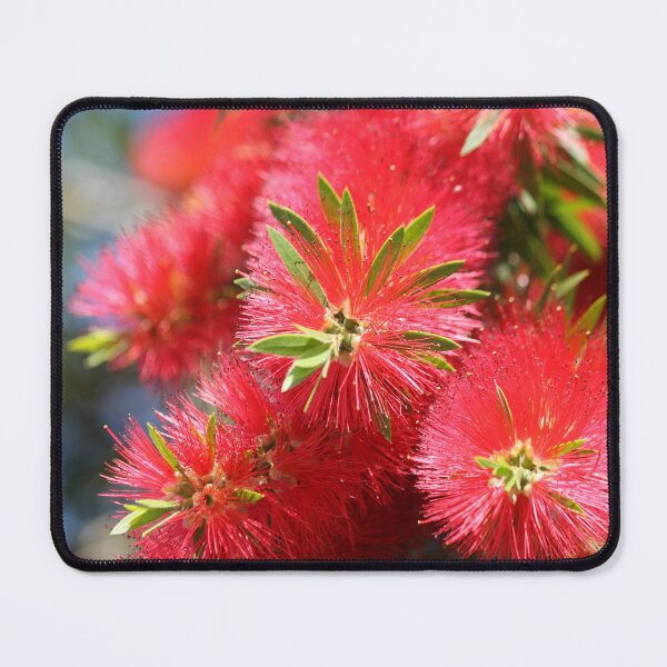 Item preview, Red Bottle brush flower designed and sold by NJH110.