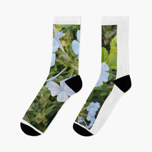 Item preview, Plumbago auriculata designed and sold by kifayat22.