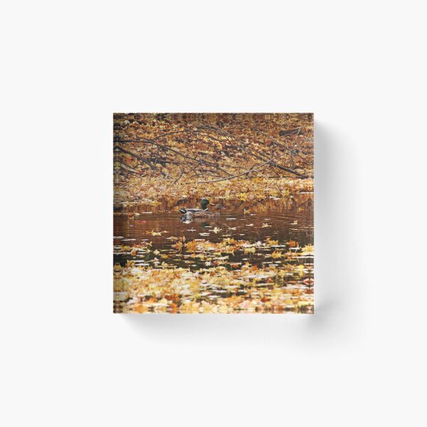 Item preview, Autumns Mallards designed and sold by Debbie Oppermann.