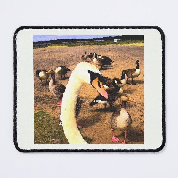 Item preview, Swan, Hornsea Mere, East Yorkshire designed and sold by Beatrice Roberts.