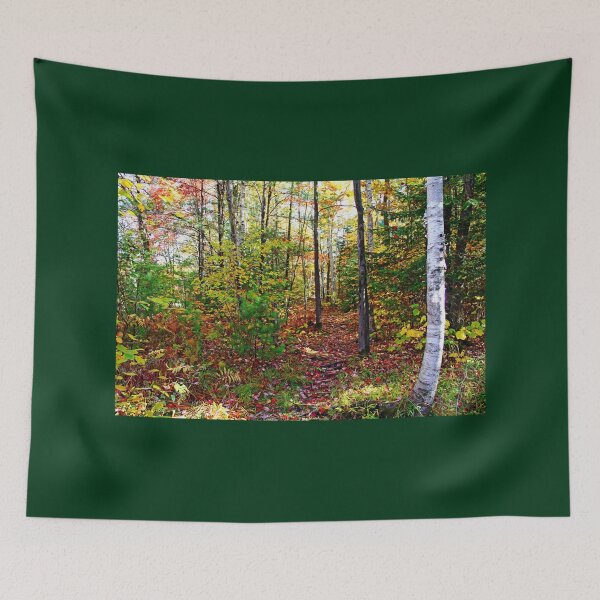 Item preview, Killarney Fall Forest designed and sold by Debbie Oppermann.
