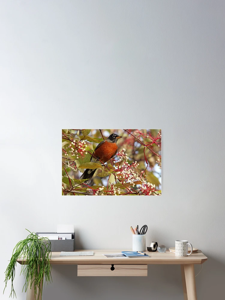 Thumbnail 2 of 3, Poster, Fall Robin designed and sold by Debbie Oppermann.