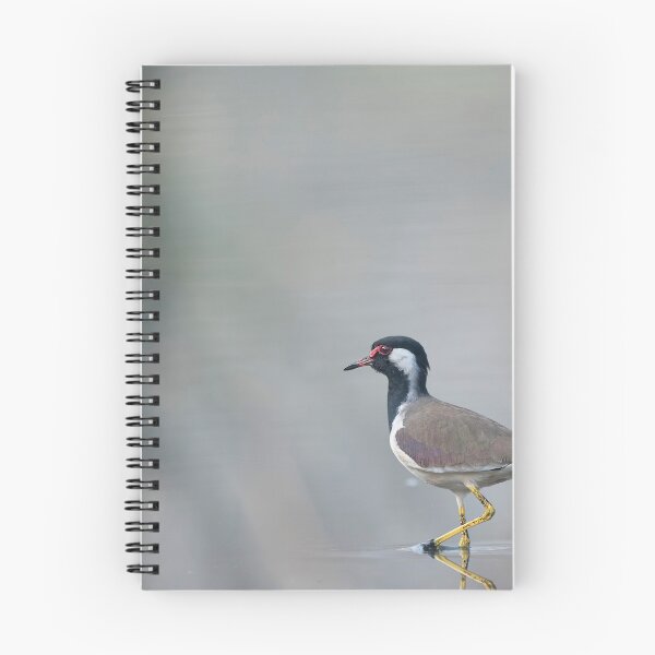 Item preview, Soft Reflections - Red wattled lapwing in a pond designed and sold by Puttaswamy Ravishankar.