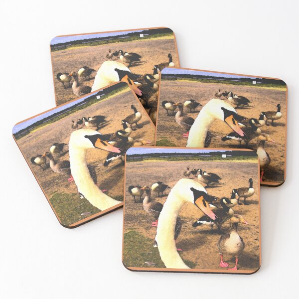 Item preview, Swan, Hornsea Mere, East Yorkshire designed and sold by Beatrice Roberts.