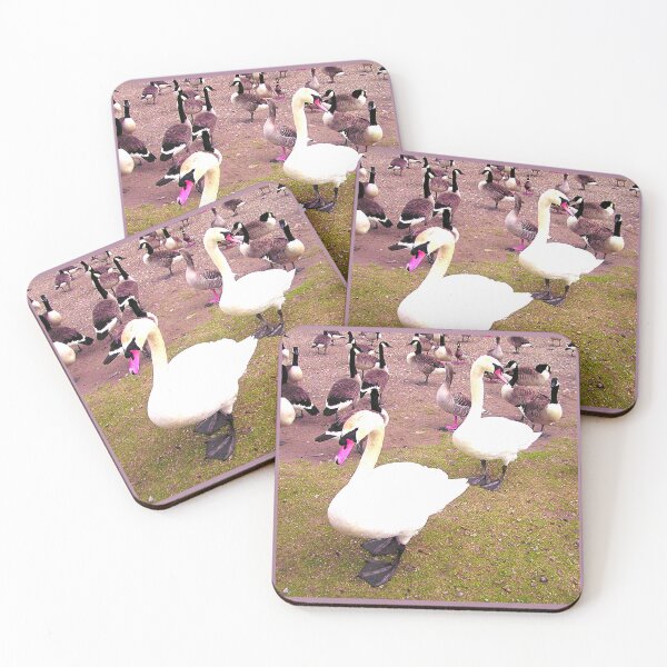 Item preview, Swans, Hornsea Mere, East Yorkshire designed and sold by Beatrice Roberts.