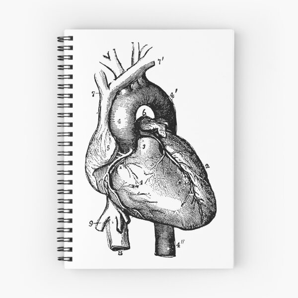 Item preview, Anatomical Heart designed and sold by 23Cdesigns.