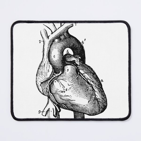 Item preview, Anatomical Heart designed and sold by 23Cdesigns.