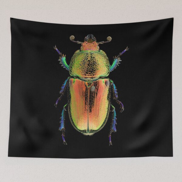 Item preview, Female Golden Green Stag Beetle (Lamprima latreillii) designed and sold by BiosecurityColl.