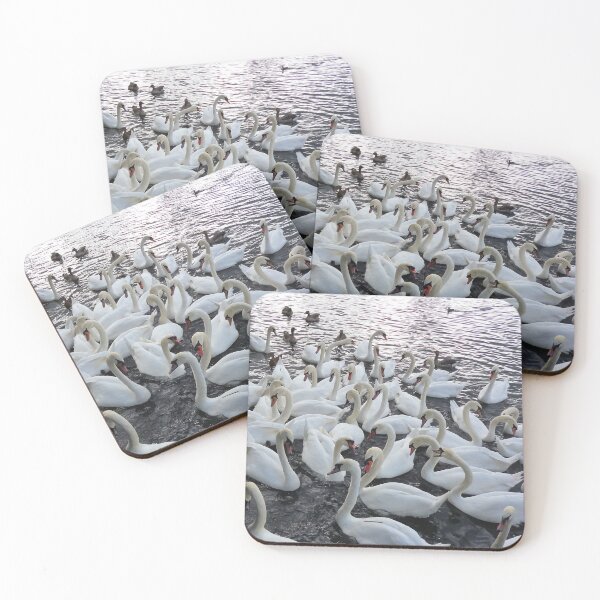 Item preview, White swans gathered on the water. designed and sold by claireseyeview.