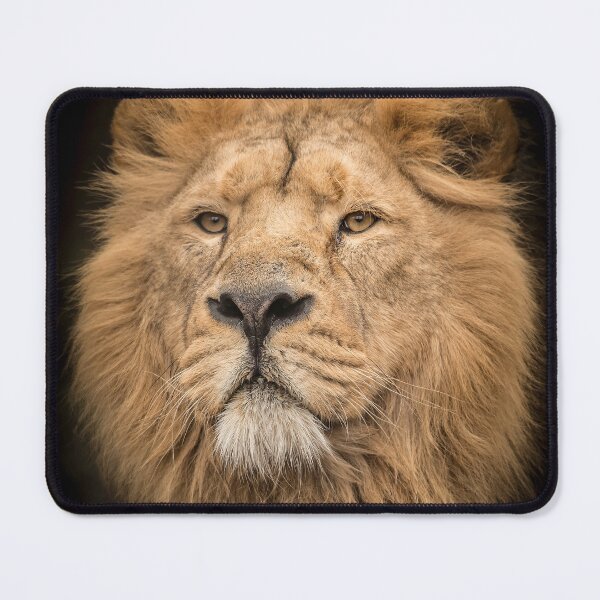 Item preview, Face To Face  designed and sold by Darren Wilkes.
