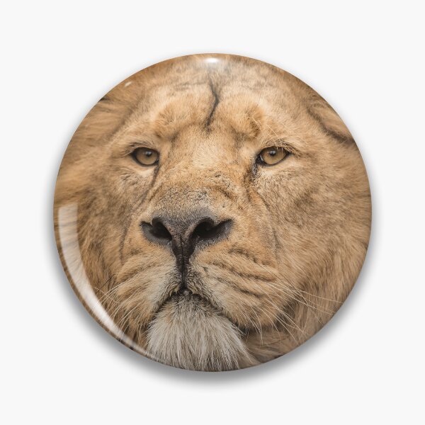 Item preview, Face To Face  designed and sold by Darren Wilkes.