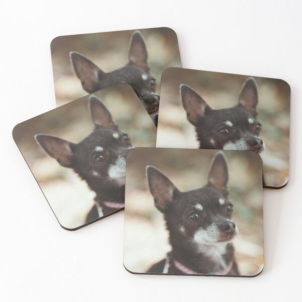 Item preview, cute, tricolor Chihuahua designed and sold by GiiReez.