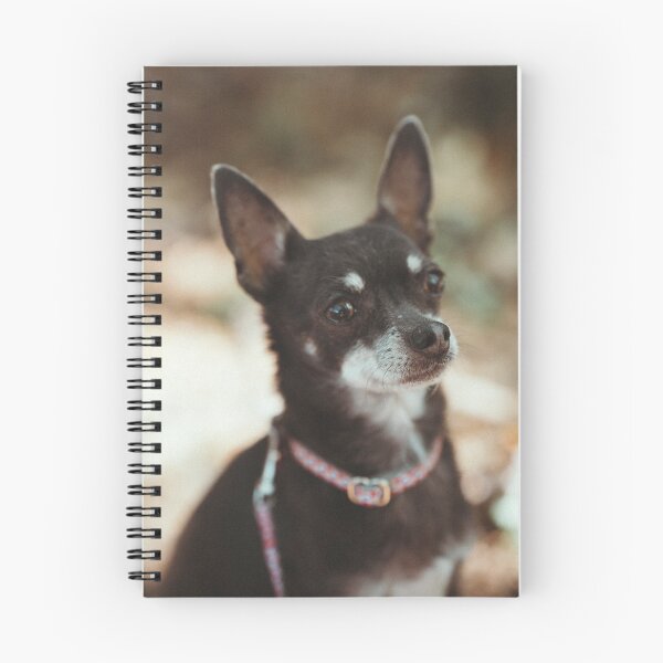 Item preview, cute, tricolor Chihuahua designed and sold by GiiReez.