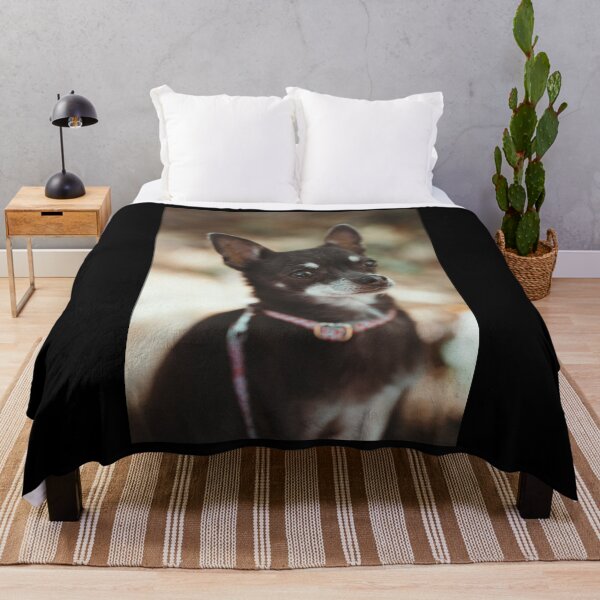 Item preview, cute, tricolor Chihuahua designed and sold by GiiReez.