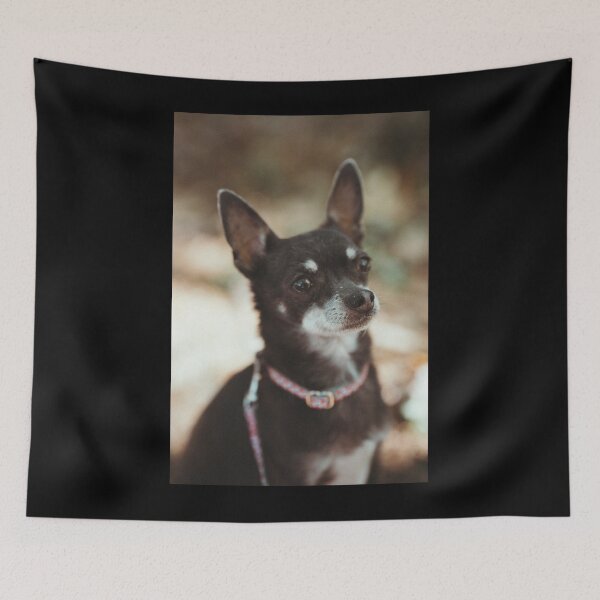 Item preview, cute, tricolor Chihuahua designed and sold by GiiReez.