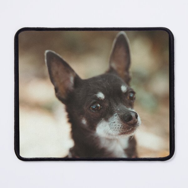 Item preview, cute, tricolor Chihuahua designed and sold by GiiReez.