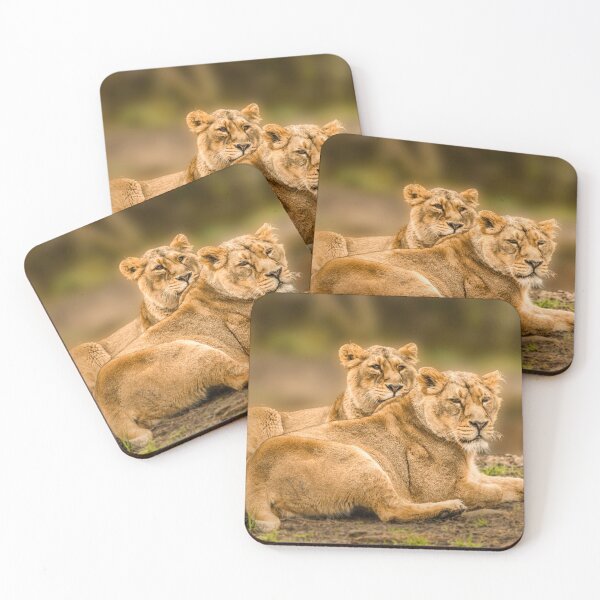 Item preview, Sisters designed and sold by Darren Wilkes.