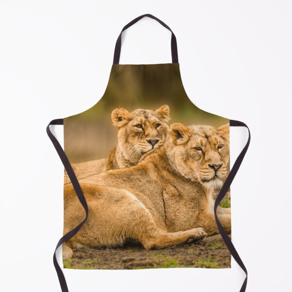 Item preview, Sisters designed and sold by Darren Wilkes.