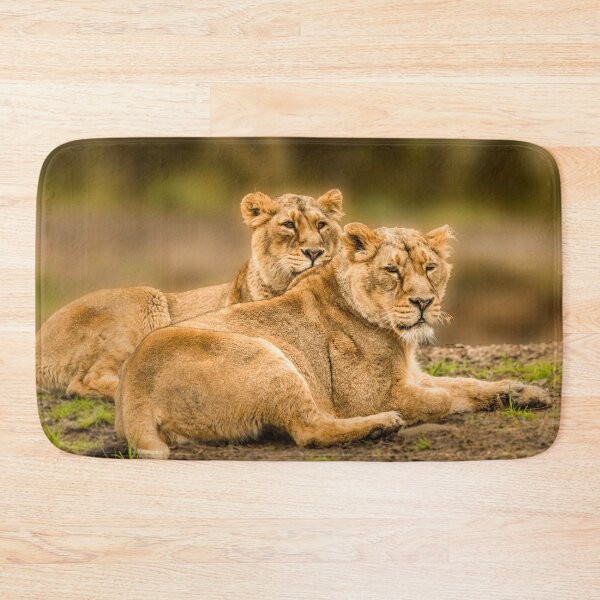 Item preview, Sisters designed and sold by Darren Wilkes.