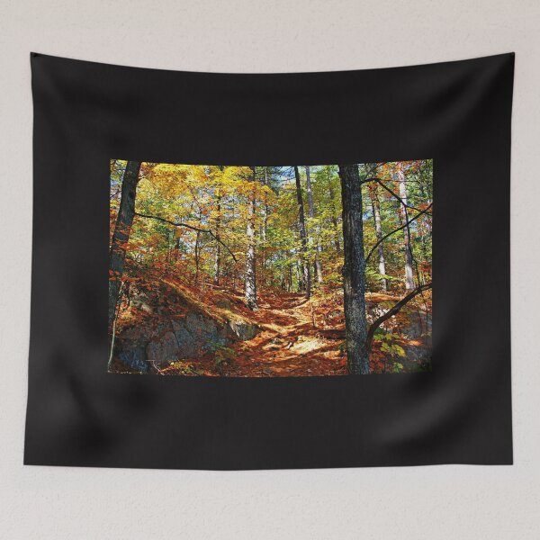 Item preview, Autumn Forest Killarney designed and sold by Debbie Oppermann.