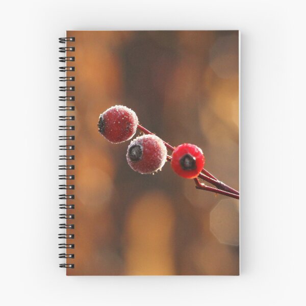 Item preview, Frosted Rose Hips designed and sold by Debbie Oppermann.
