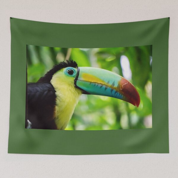 Item preview, Colorful Toucan in the forest. designed and sold by Kanchan1987.