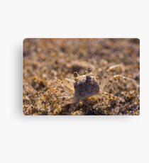 Blending In Canvas Print