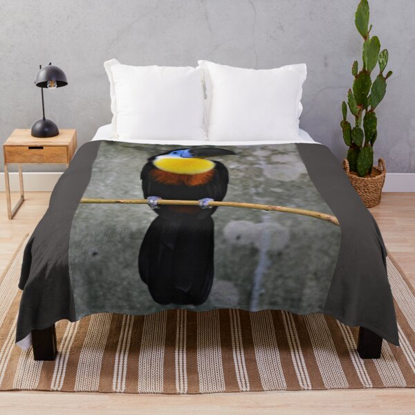 Item preview, Colorful Toucan perched on a branch. designed and sold by Kanchan1987.