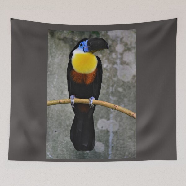 Item preview, Colorful Toucan perched on a branch. designed and sold by Kanchan1987.