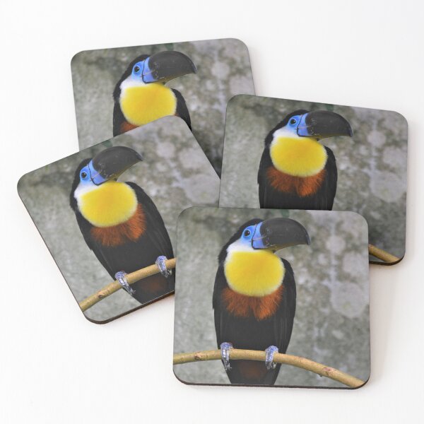 Item preview, Colorful Toucan perched on a branch. designed and sold by Kanchan1987.